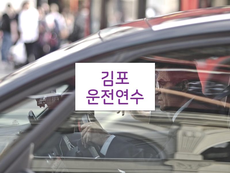 김포운전연수 후기