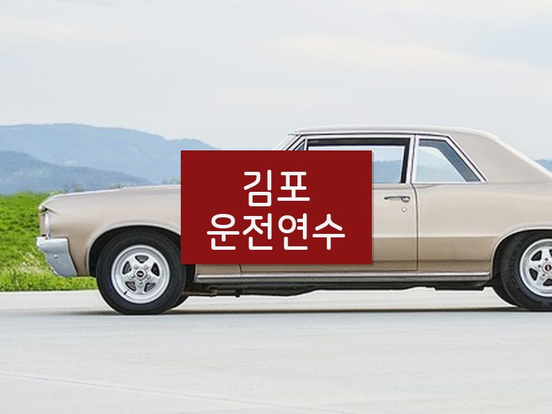 김포운전연수 후기