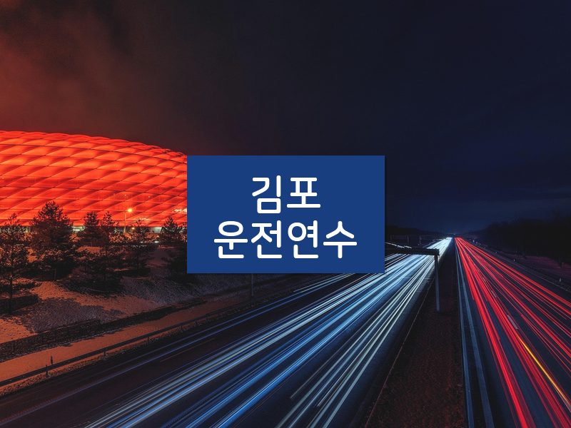 김포운전연수 후기