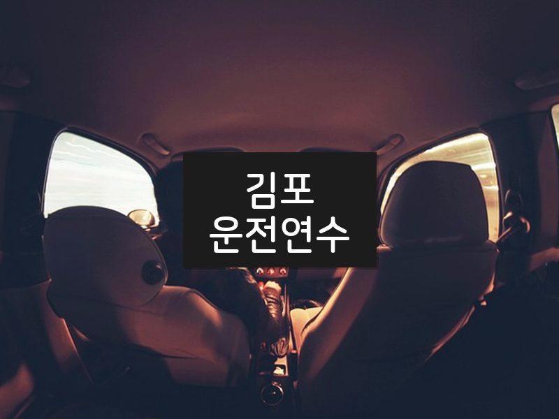 김포운전연수 후기