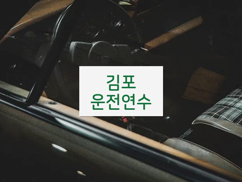 김포운전연수 후기