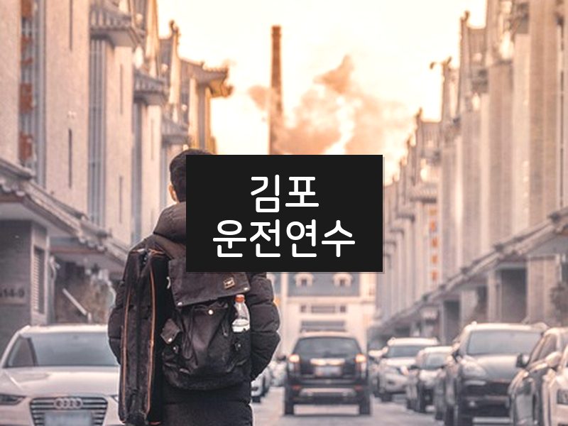 김포운전연수 후기