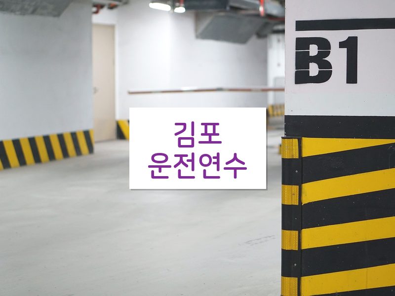 김포운전연수 후기