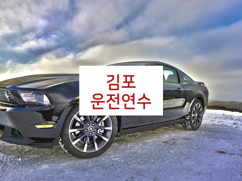 김포운전연수 후기