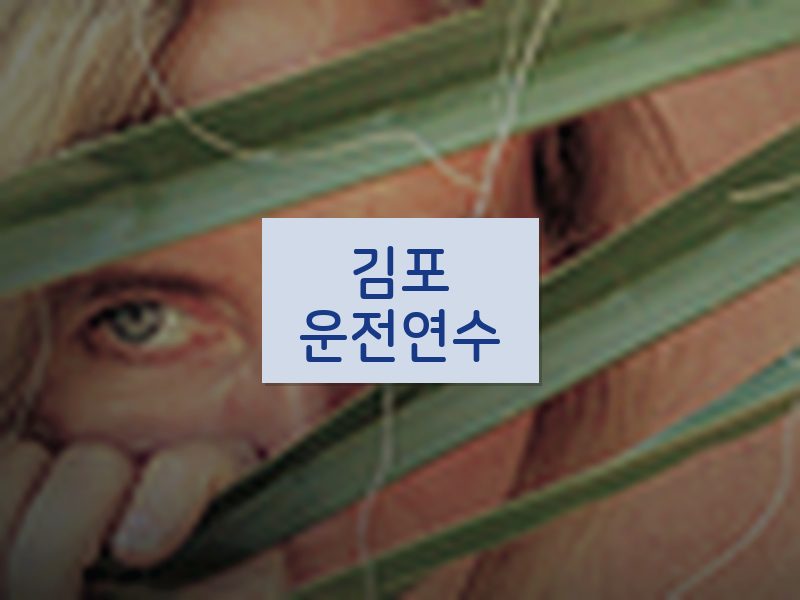 김포운전연수 후기