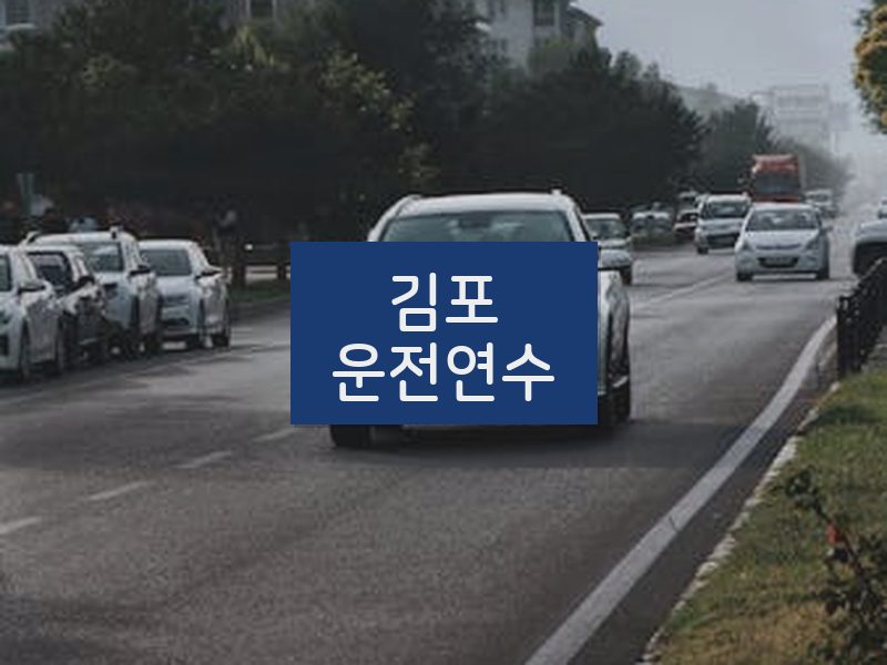 김포운전연수 후기