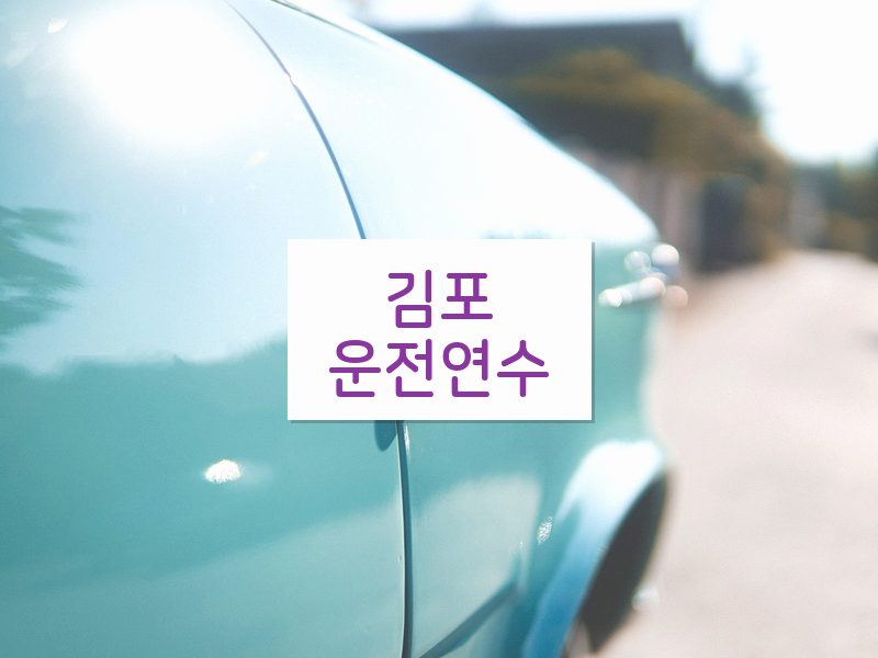 김포운전연수 후기