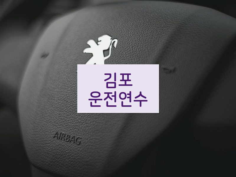 김포운전연수 후기