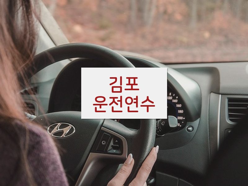 김포운전연수 후기