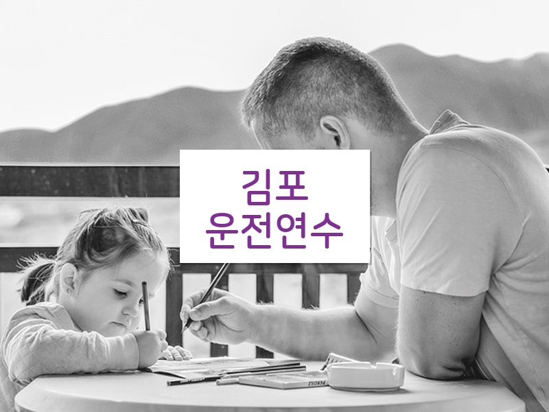 김포운전연수 후기