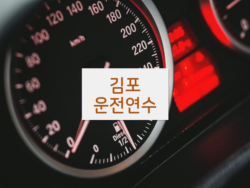 김포운전연수 후기