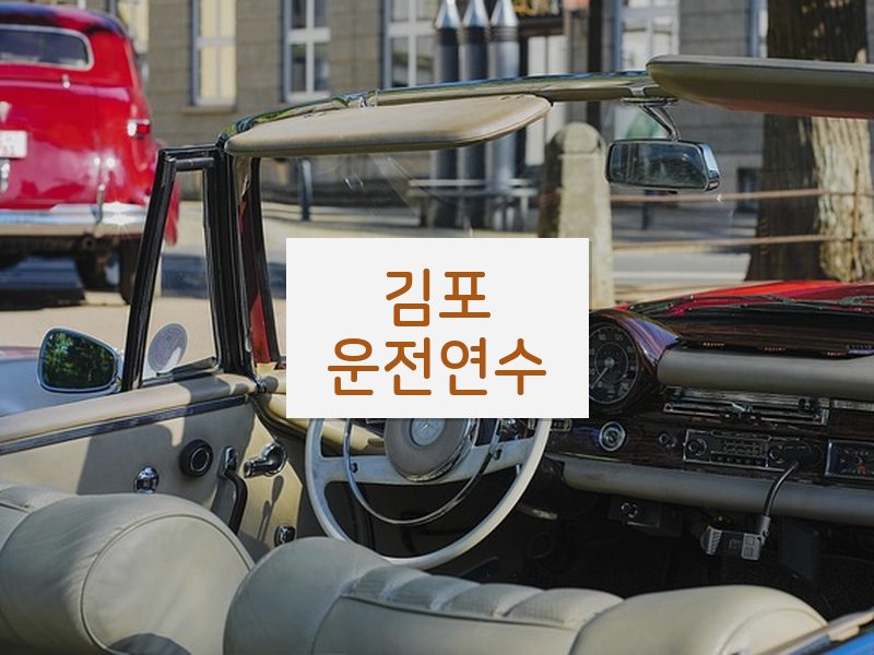 김포운전연수 후기