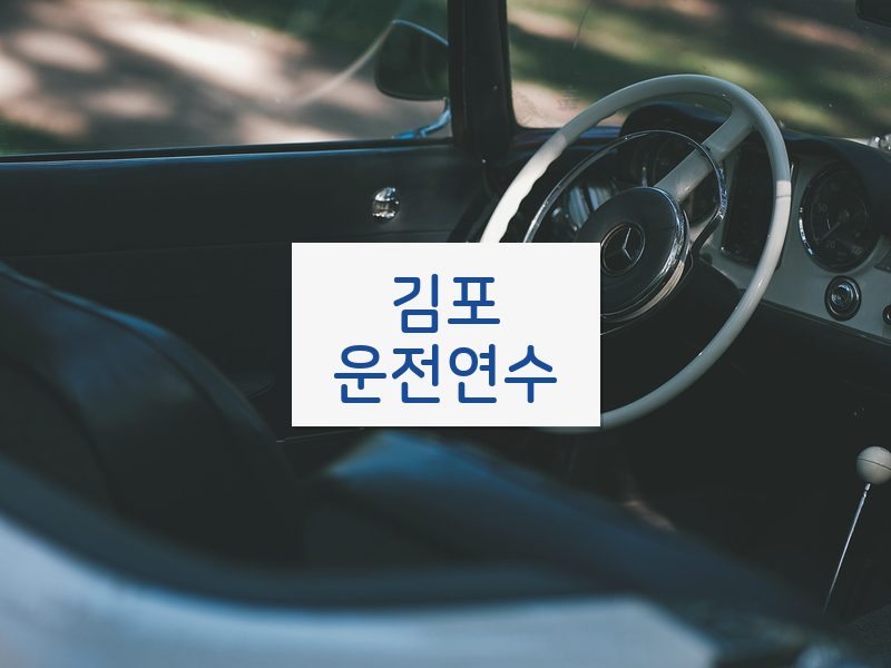 김포운전연수 후기