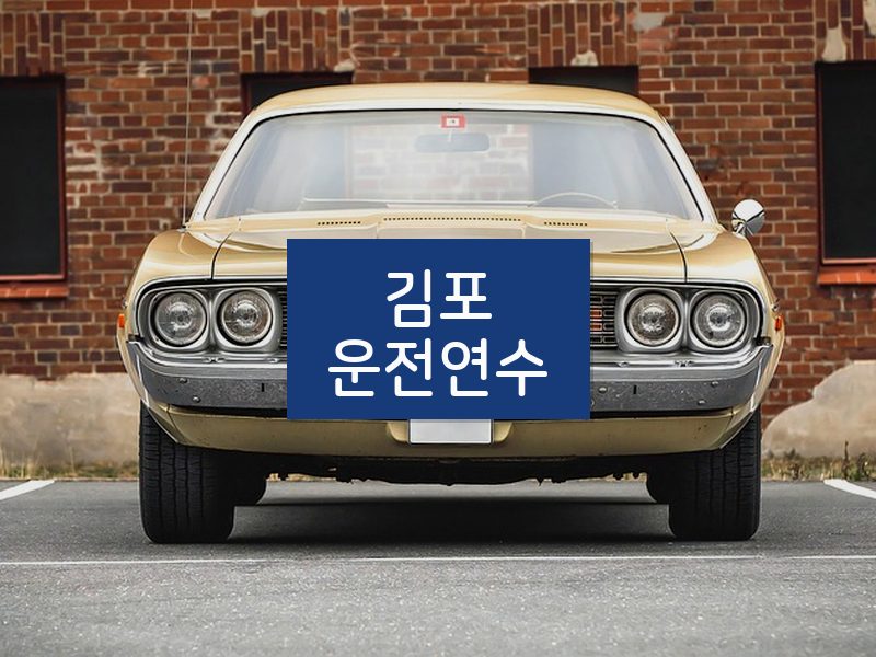 김포운전연수 후기
