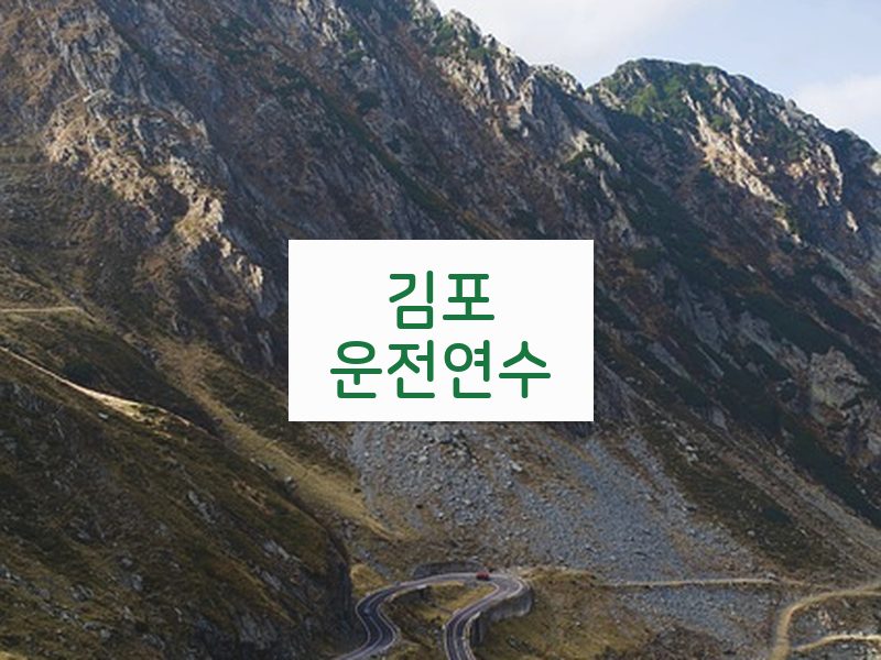 김포운전연수 후기