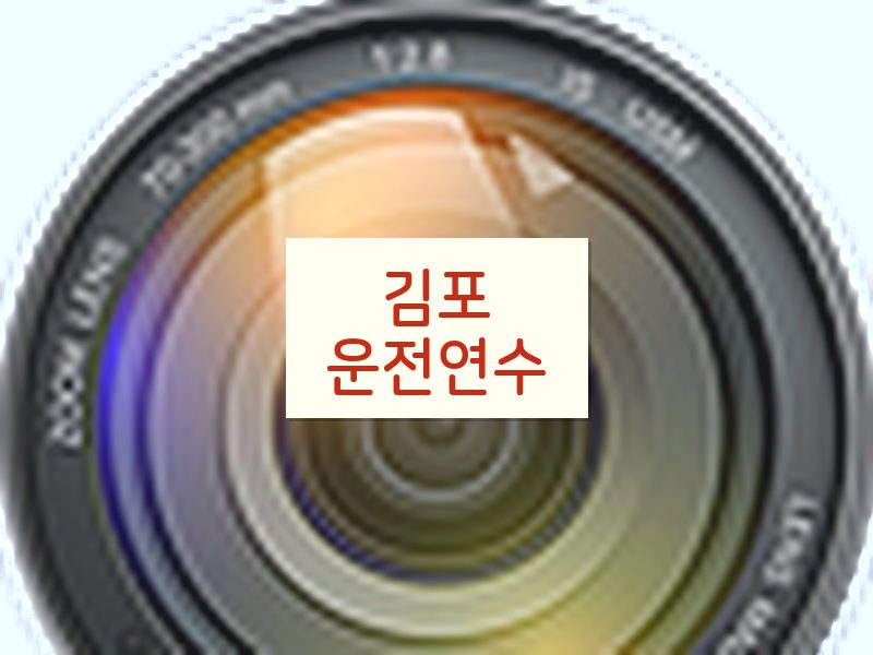 김포운전연수 후기