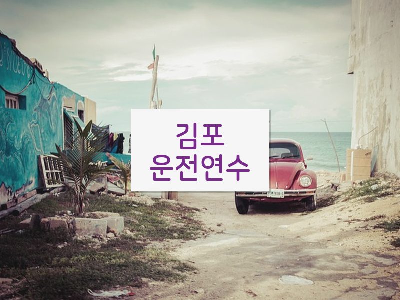 김포운전연수 후기