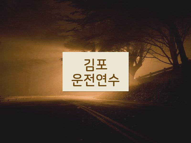 김포운전연수 후기