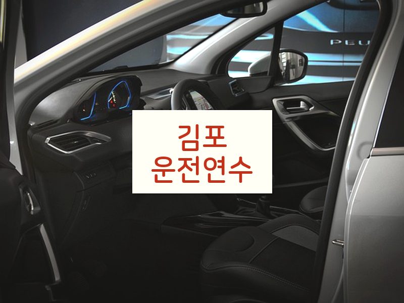 김포운전연수 후기