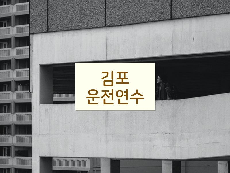 김포운전연수 후기