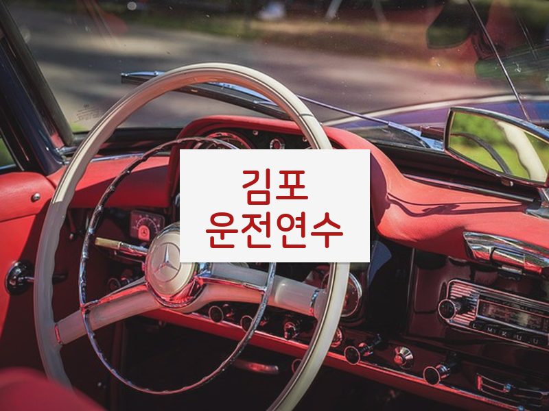 김포운전연수 후기