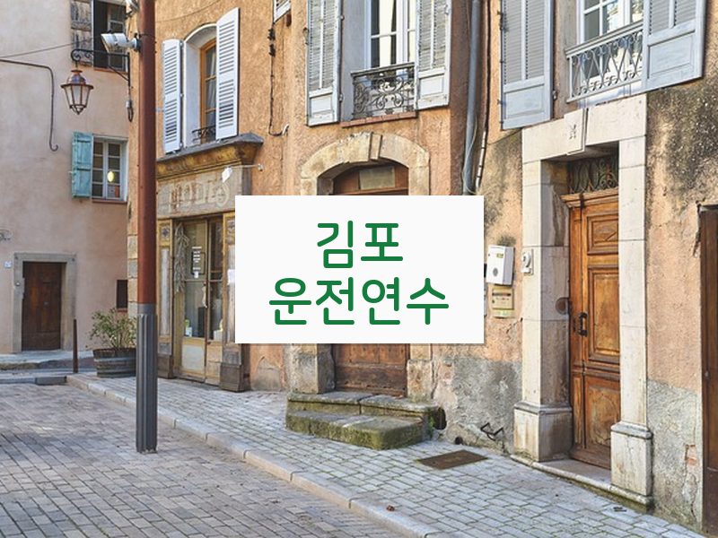 김포운전연수 후기