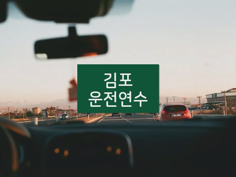 김포운전연수 후기
