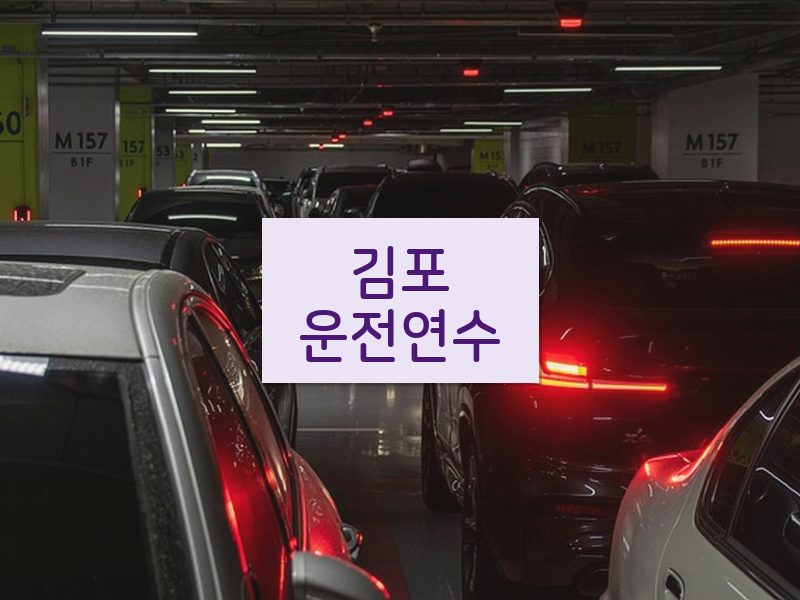 김포운전연수 후기