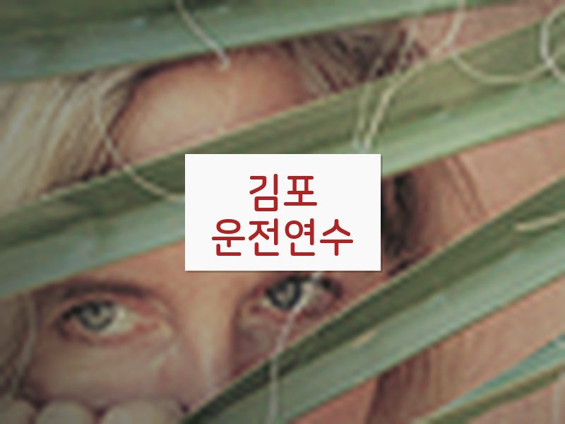 김포운전연수 후기
