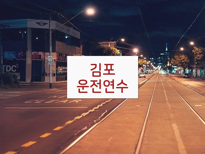 김포운전연수 후기