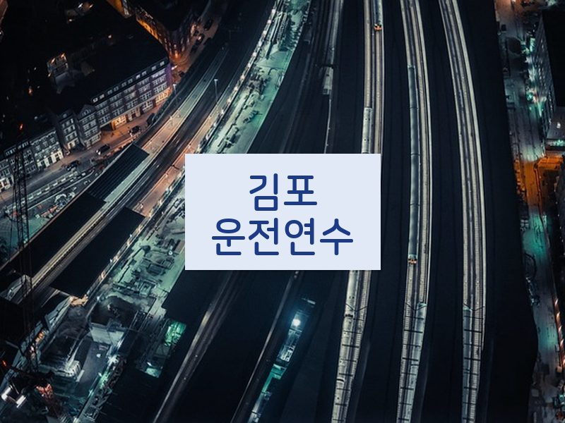 김포운전연수 후기
