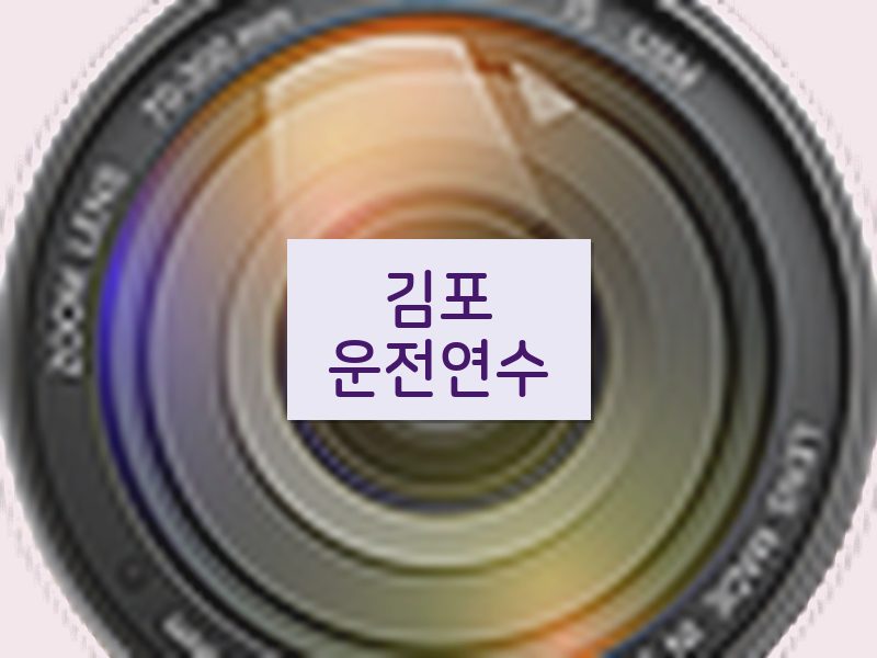 김포운전연수 후기