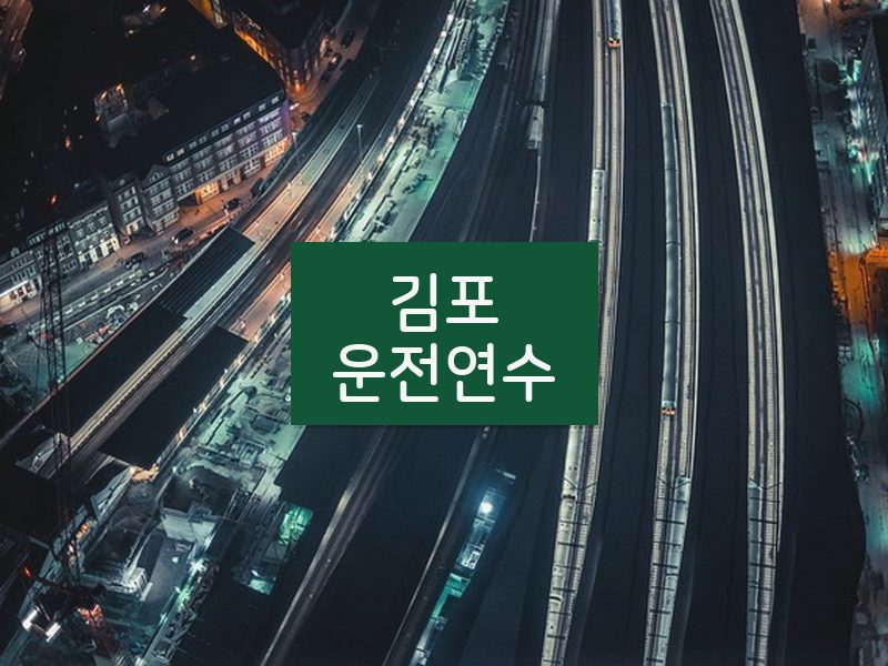 김포운전연수 후기