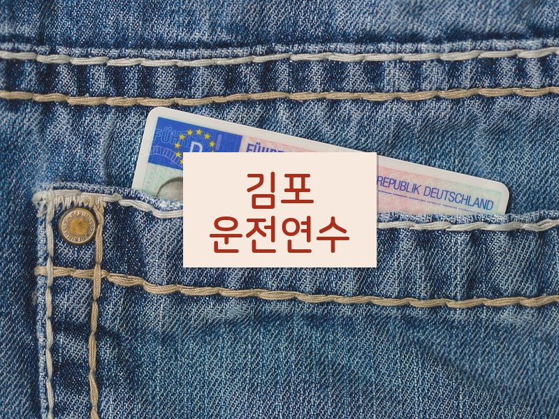 김포운전연수 후기