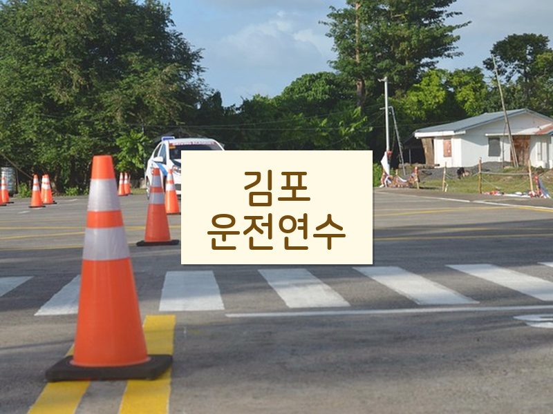 김포운전연수 후기