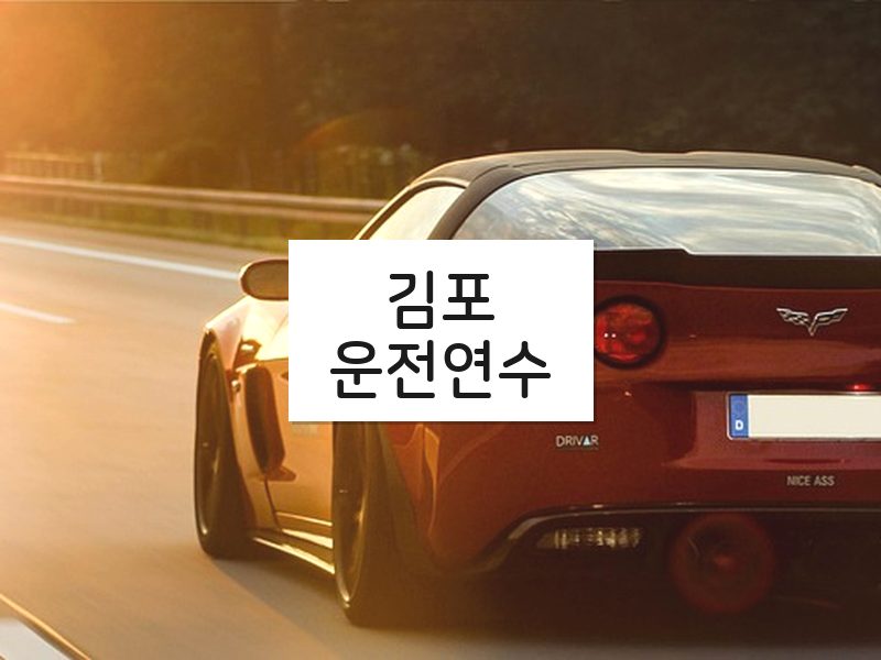 김포운전연수 후기