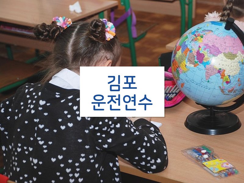 김포운전연수 후기