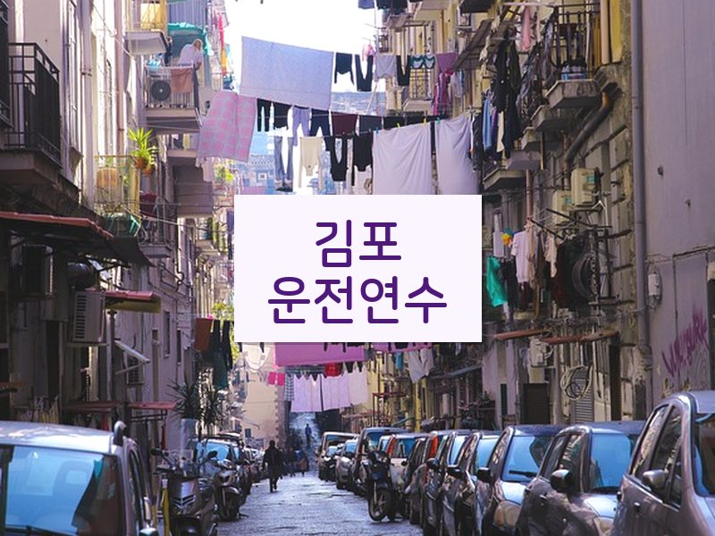 김포운전연수 후기