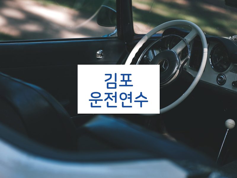 김포운전연수 후기