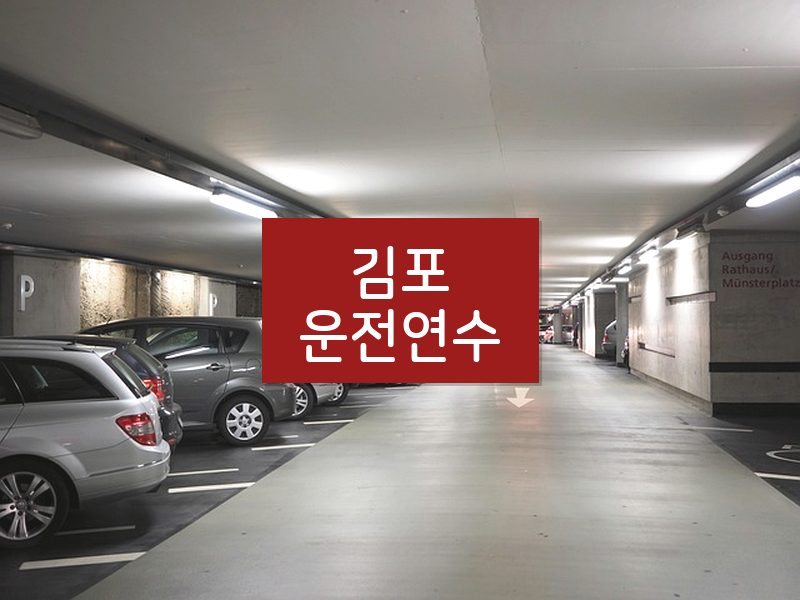 김포운전연수 후기