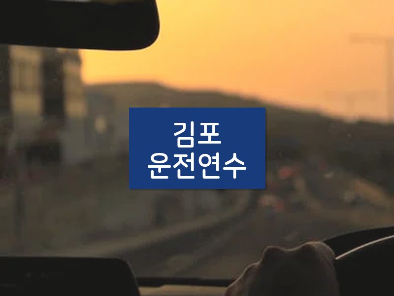 김포운전연수 후기
