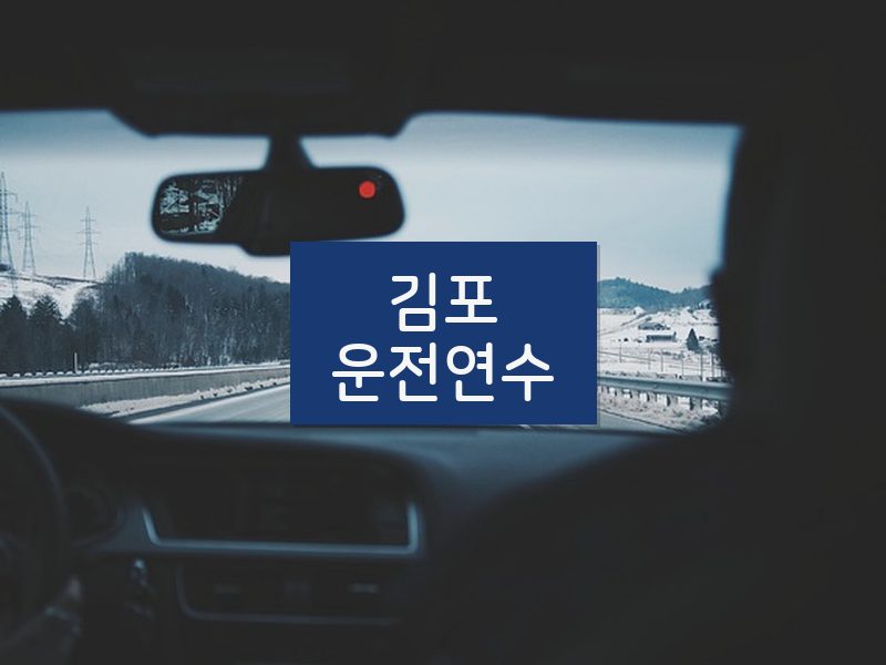 김포운전연수 후기