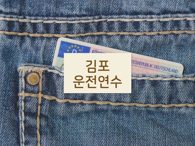 김포운전연수 후기