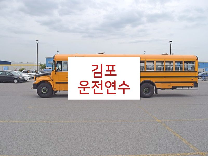 김포운전연수 후기