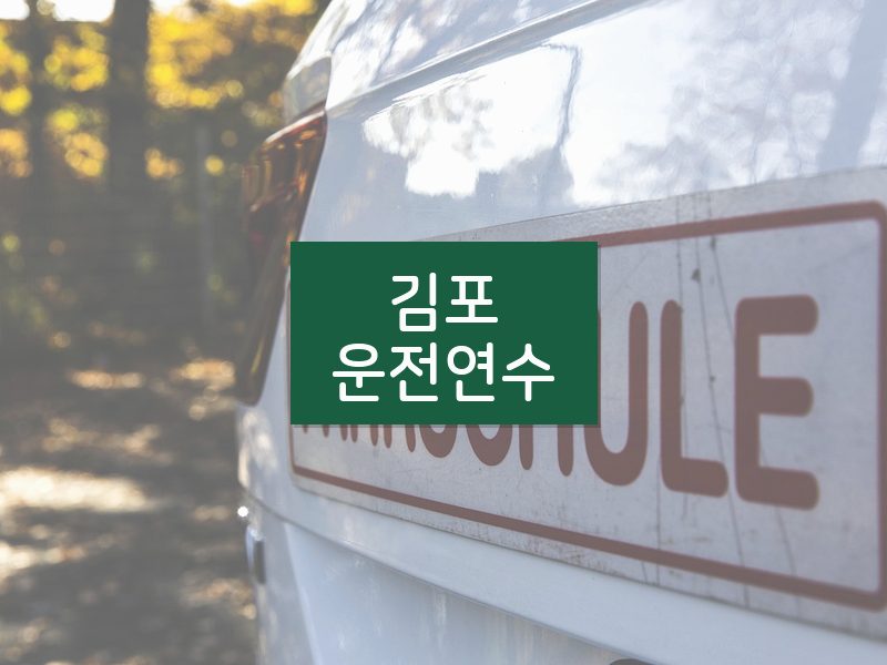 김포운전연수 후기