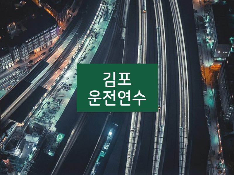 김포운전연수 후기