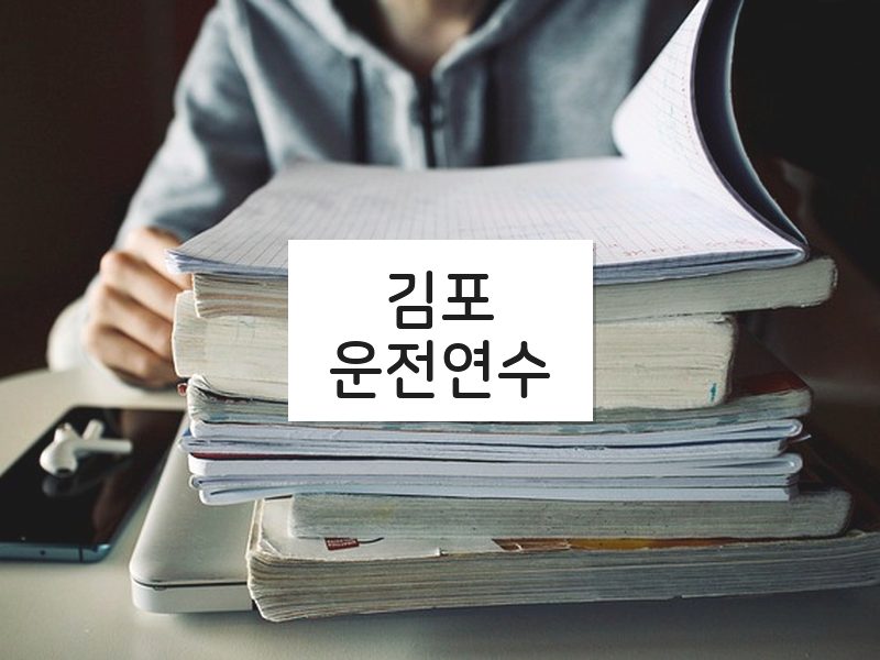 김포운전연수 후기