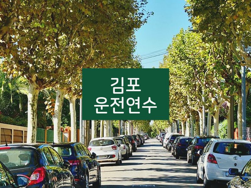 김포운전연수 후기