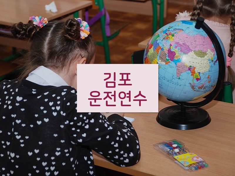 김포운전연수 후기