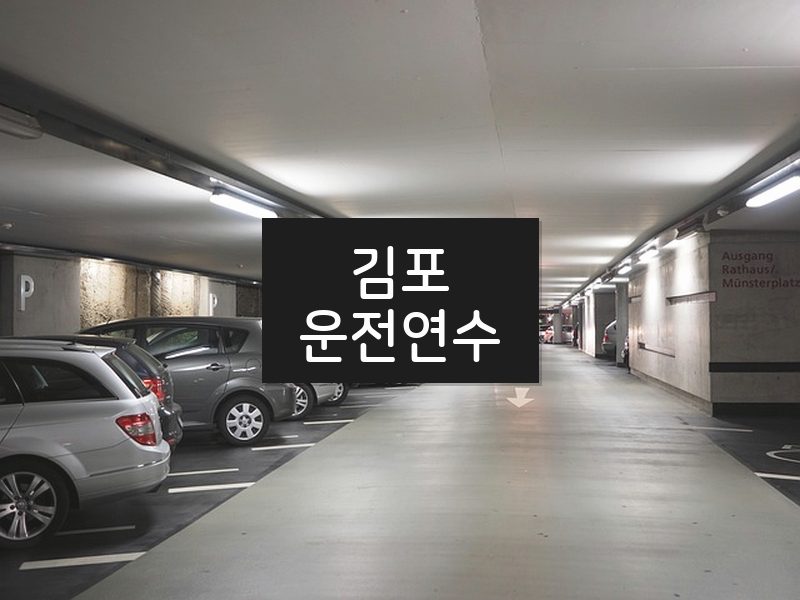 김포운전연수 후기